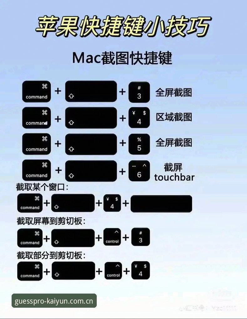 kaiyun使用教程 kaiyun平台新手教程 vs 进阶技巧:从零开始掌握全功能操作指南