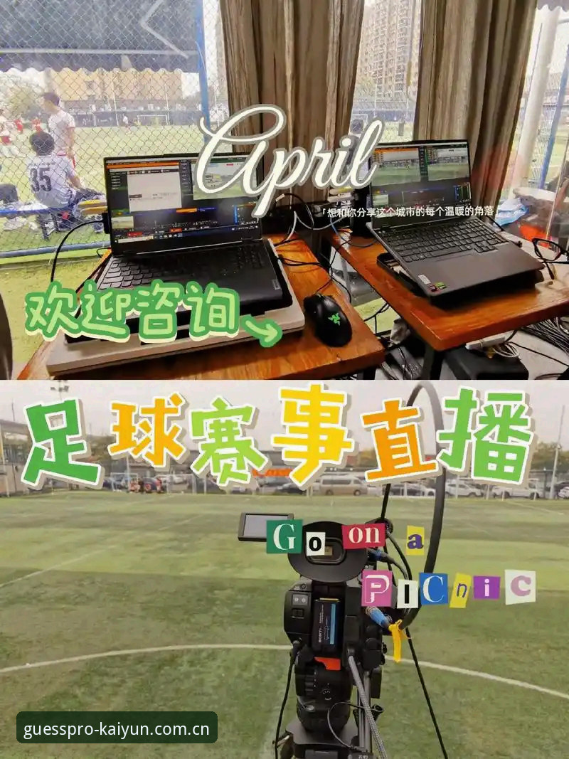 kaiyun平台登录使用评测：从官网入口到赛事直播的全面体验报告